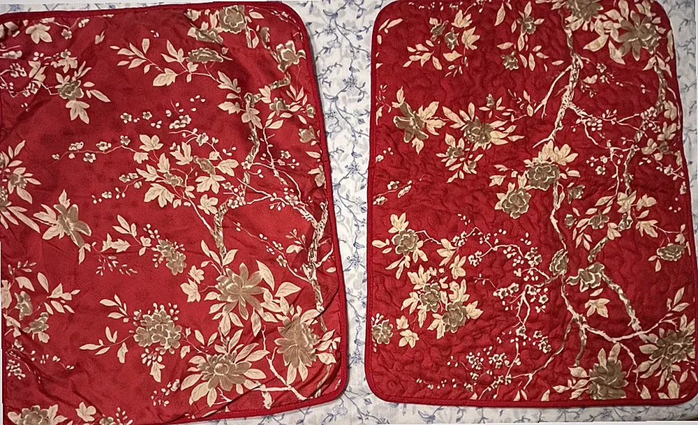 Wake in Cloud Pillow Shams Quilted Red Floral 19"x24"