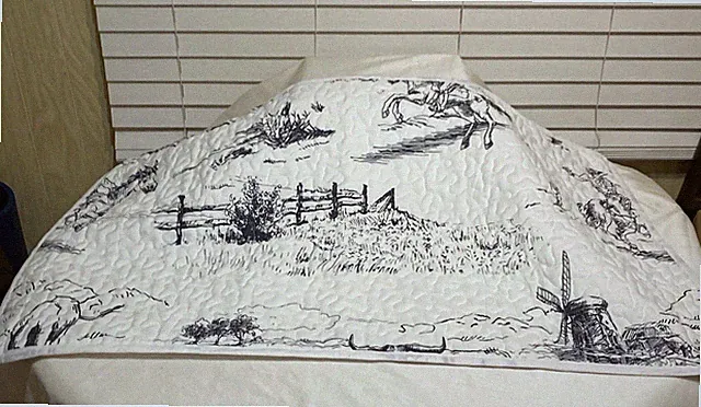 Wake in Cloud Western King Size Pillow Sham 34 x 19 Inches